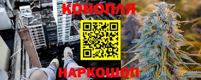 эйфоретик Берёзовский
