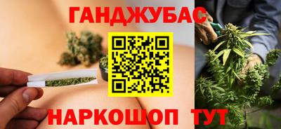 амф Бийск