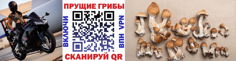 Галлюциногенные грибы GOLDEN TEACHER  Железноводск 