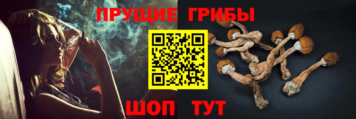 даркнет сайт  Вход с VPN  Псилоцибиновые грибы Psilocybe  Железноводск  Галлюциногенные грибы Psilocybe 